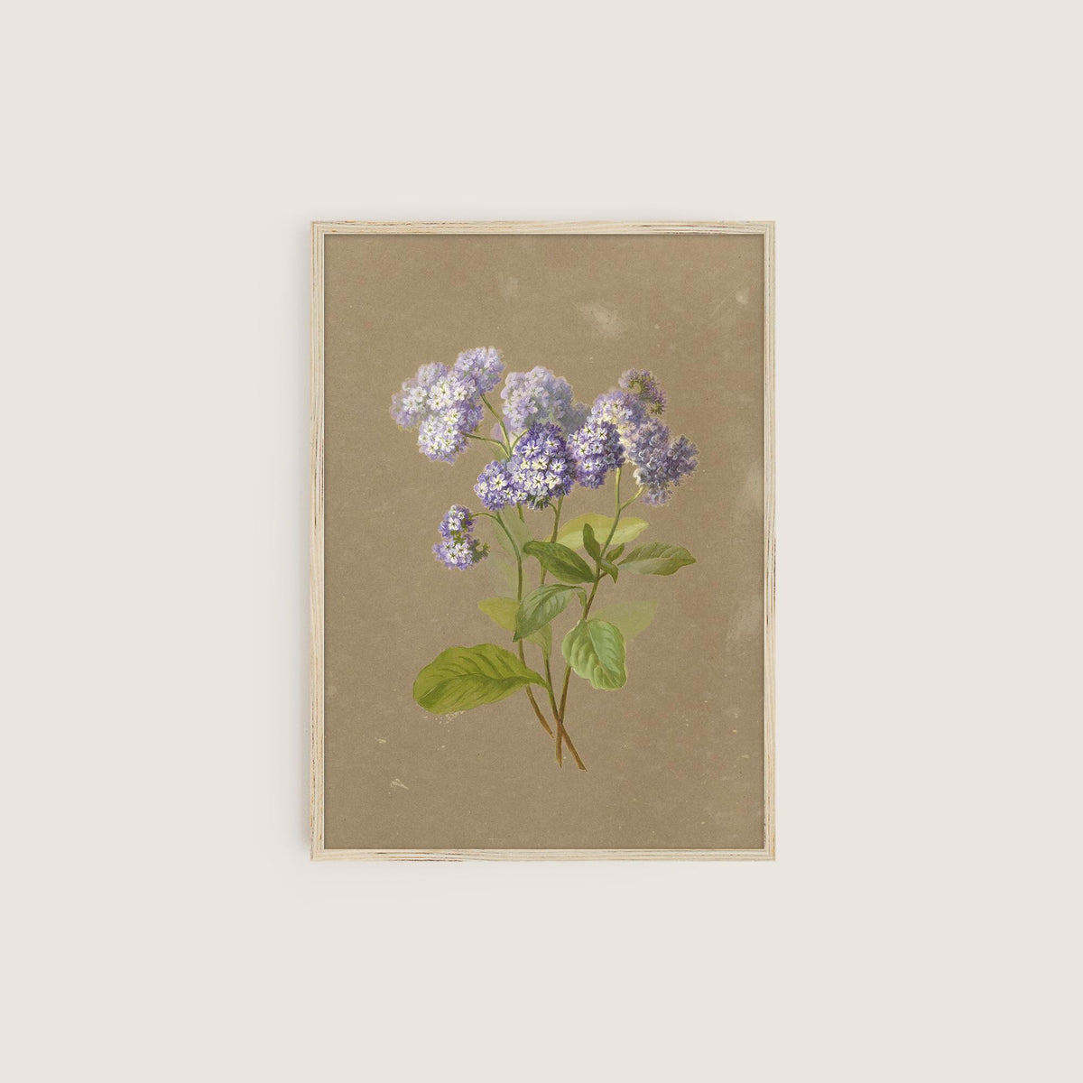 A fine art print of a delicate botanical artwork that features a sprig of purple heliotrope. The print is displayed hanging on the wall in a simple wooden picture frame.
