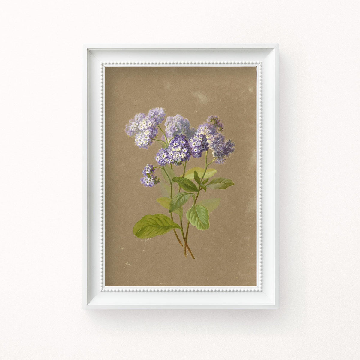 A fine art print of a delicate botanical artwork that features a sprig of purple heliotrope. The print is displayed hanging on a white wall in a white picture frame.