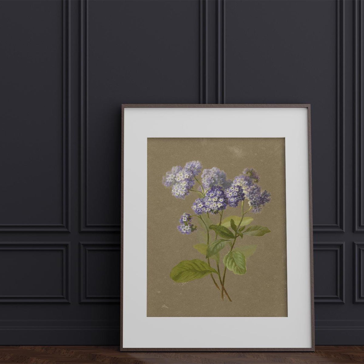A fine art print of a delicate botanical artwork that features a sprig of purple heliotrope. The print is displayed resting on a wooden floor, leant up against a dark blue panelled wall in a thin picture frame with a white mount.