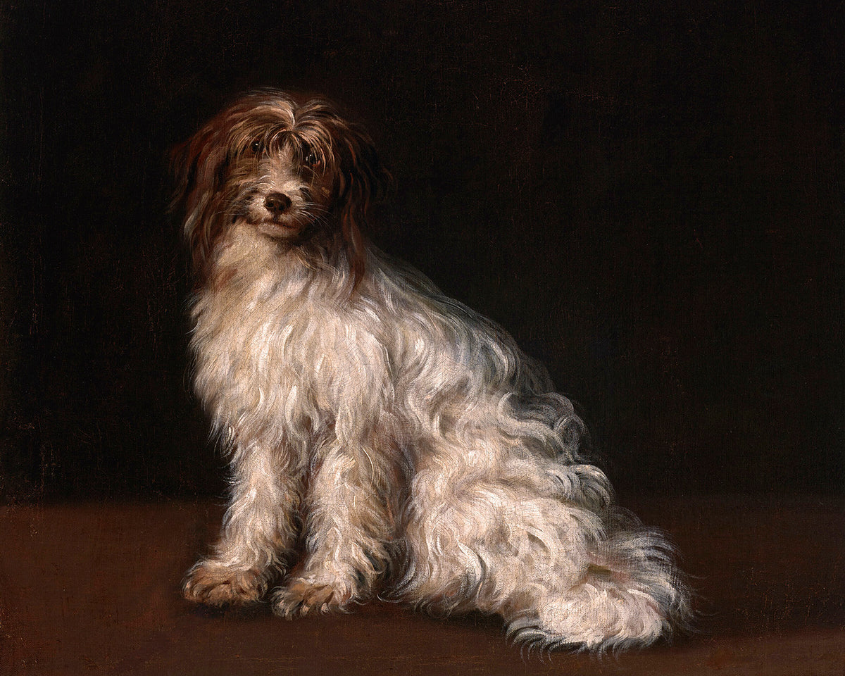 A giclée print of a long-haired terrier. The terrier is captured in great detail, with soft brushstrokes and delicate shading.