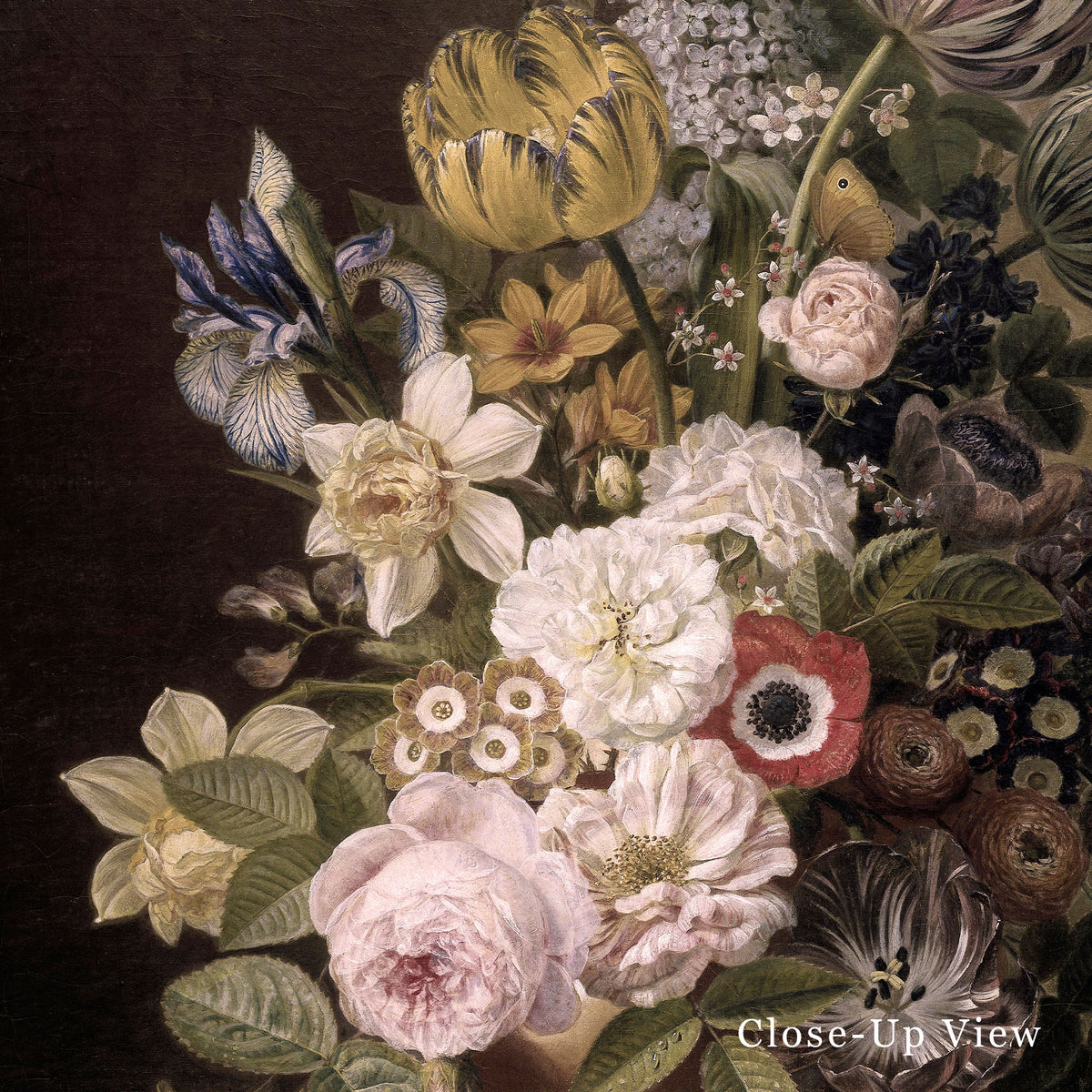 Close-up of a bouquet of flowers with a dark background